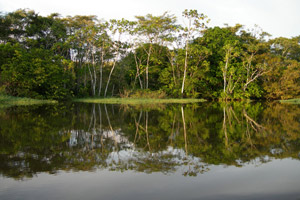 Der Rio Negro 