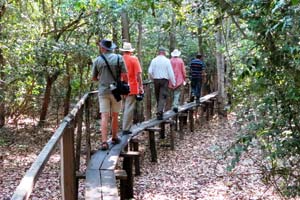 Expedition in den Regenwald