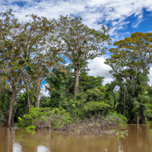 Die Amazonas-Regenwald: Bedeutung, Bedrohungen und Schutzmaßnahmen